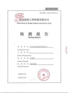东营公司检测报告